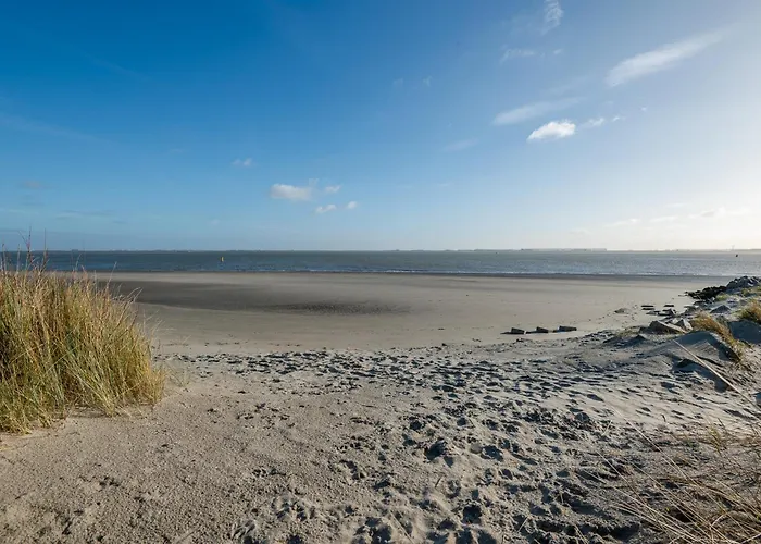 De Strandloper Vakantiehuisje Aan Het Strand - Ferienwohnung Am Meer