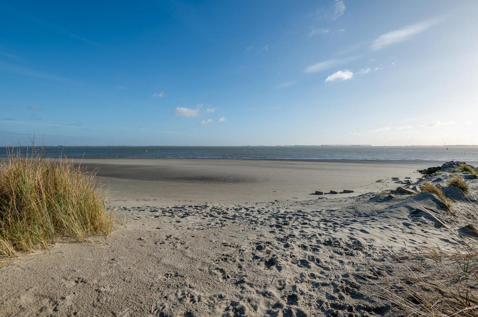 De Strandloper Aan Het - Am Baarland